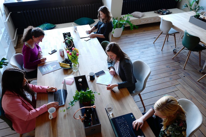 Übersetzungsteam Rasmussen im Büro in Hamburg